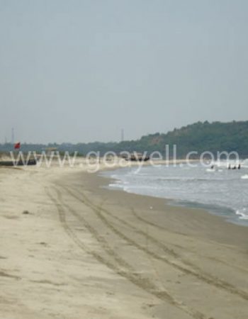Morjim Beach ,Goa